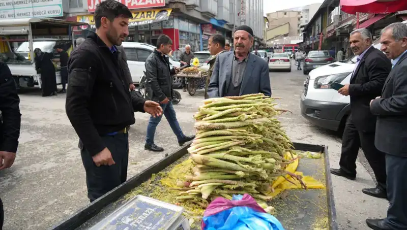Şekerin Kanser ve Mide Hastalıklarına Faydaları: Doğanın Şifalı İkramı