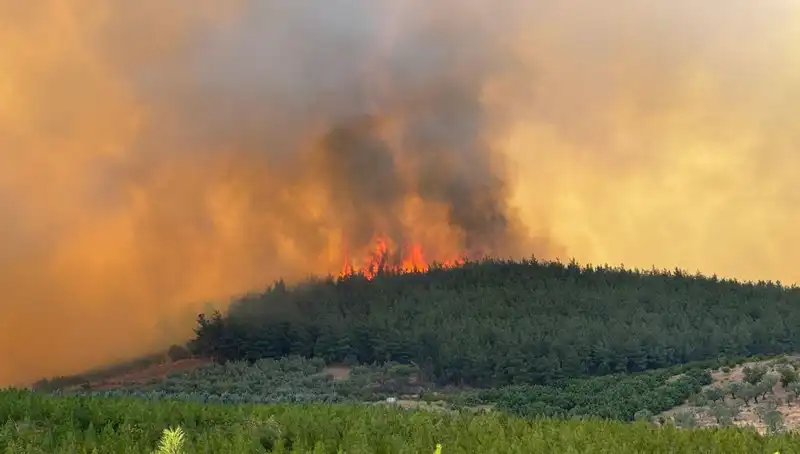 Bursa'da Orman Yangını: Dumanlar Gökyüzünü Kâbus Gibi Sardı