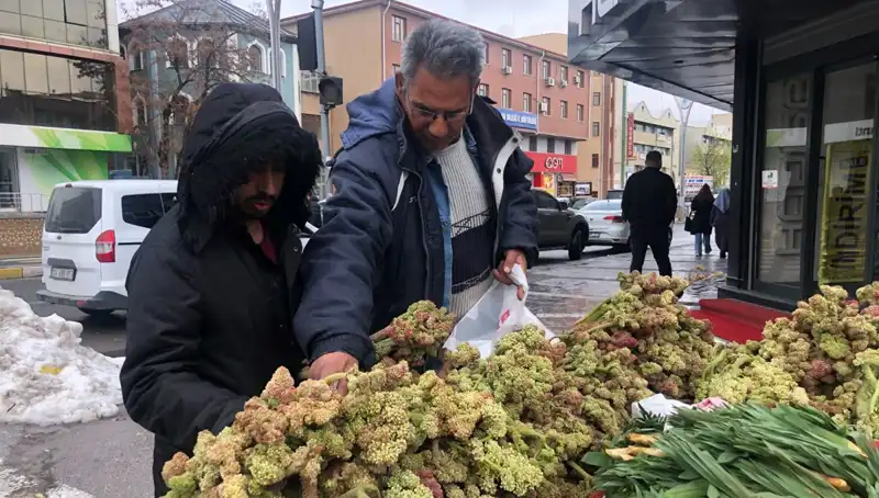 Kendiliğinden Yetişen Vitamin Deposunun Özellikleri ve Faydaları Neler?