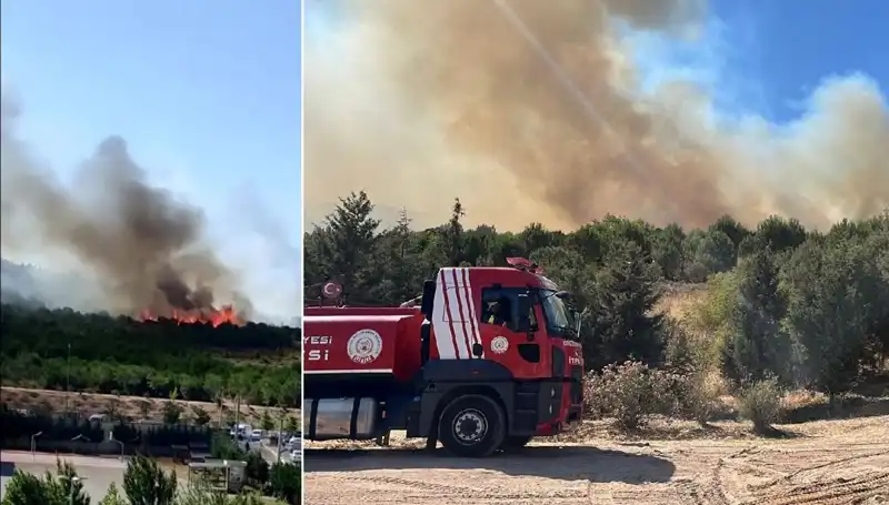 Gebze’de Korkutan Orman Yangını: Ekipler Seferber Oldu!