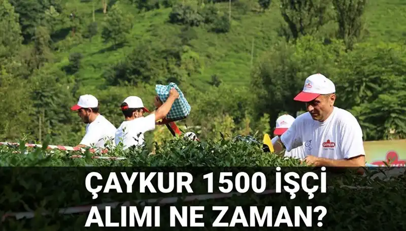 Çaykur İşçi Alımı Başvuru Tarihleri Açıklandı – Son Gelişmeler!