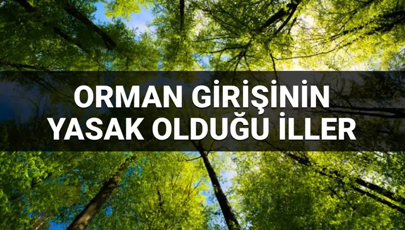 2025'te Ormanlara Girişin Yasaklandığı İller Hangileri Olacak?