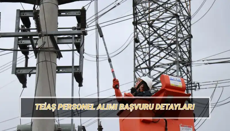 TEİAŞ Personel Alımına Dair Güncel Bilgiler ve Başvuru Şartları