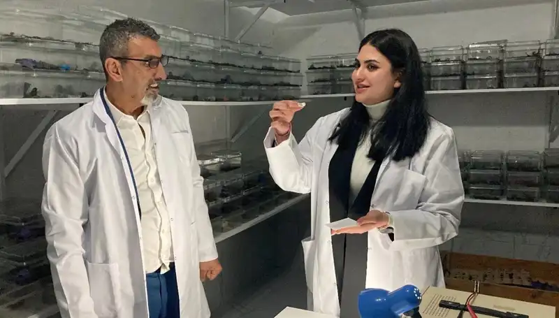 Akrep Zehrini Şekere Damlatarak Yiyenlerin Gizemi Ortaya Çıkıyor!