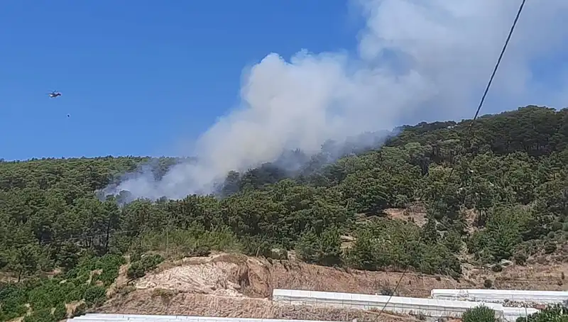 Kumluca'da Orman Yangını: Doğa ve Hayat Tehdit Altında