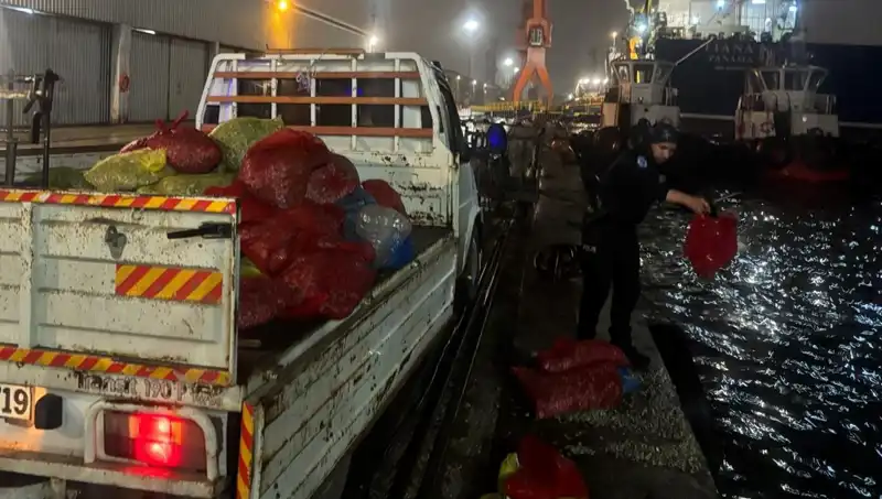Kaçak Midyeler Engellendi: Sıra Dışı Operasyon Detayları Ortaya Çıktı