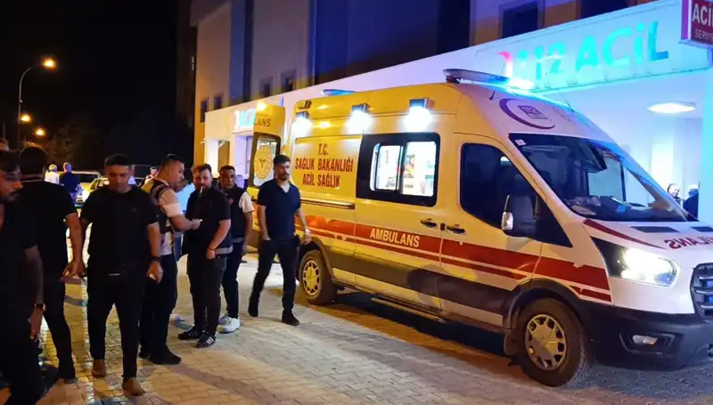 Kardeşi Kavgayı Ayırmaya Çalıştı, Feci Sonuçla Karşılaştı