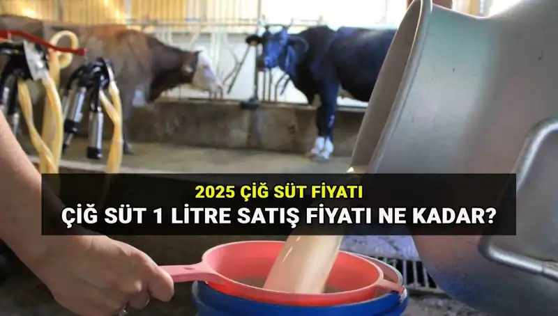 2025’te Çiğ Süt Fiyatları: Ulusal Süt Konseyi’nin Belirlediği Yeni Tarifeler