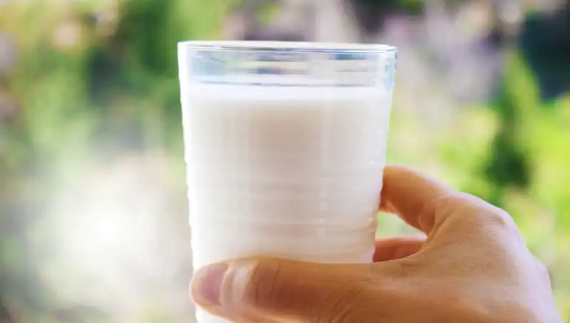 Uzman Doktorun Açıklaması: Süt Şişkinliğe Neden Oluyor mu?
