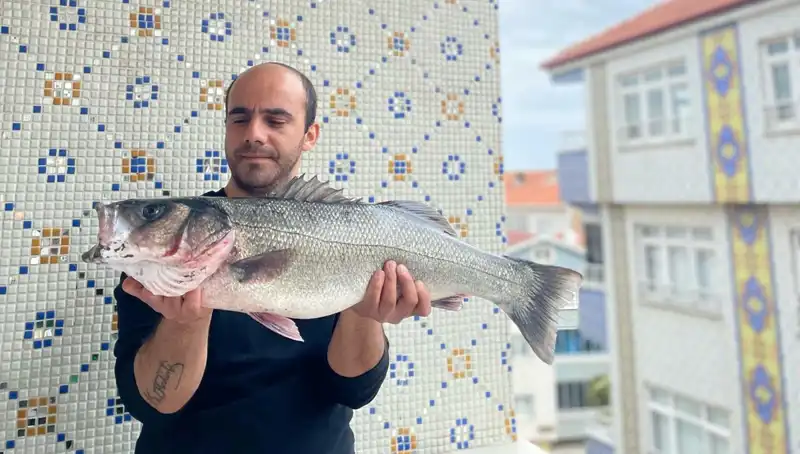 Türkiye’deki Balıkçılardan Rekor: 7,5 Kiloluk Dev Levrek Yakalandı!