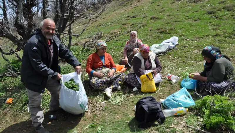 Bambaşka Bir Geçim Kaynağı: 5 Saat Yürüyüp Topladıkları Ürünle Ailelerini Geçindiriyorlar