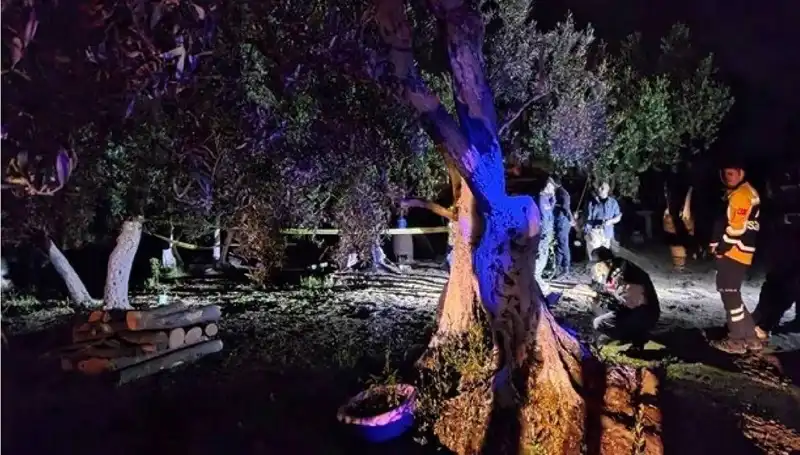 Çiftlikteki Baltalı Vahşet: Bir Gözaltı ve Şok Edici Detaylar