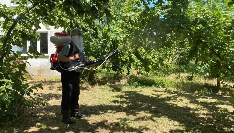 Çiftçiler Kükürt ve Samuray Arısıyla Mücadele Ediyor: Umut Yeniden Doğuyor!
